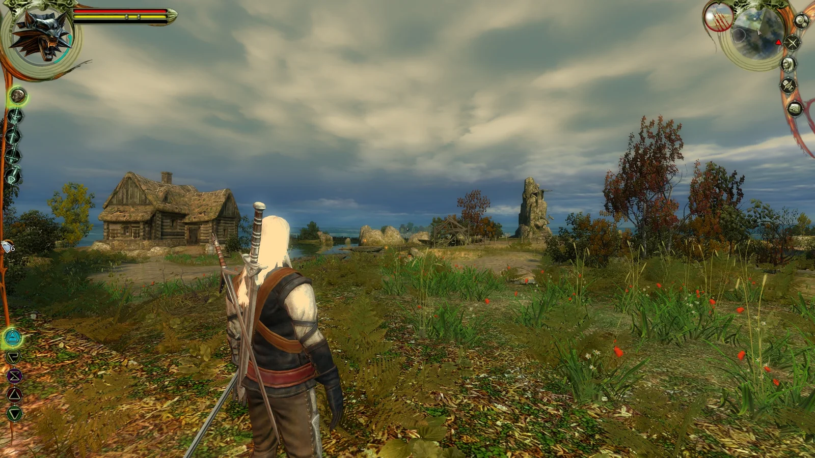 Witcher1